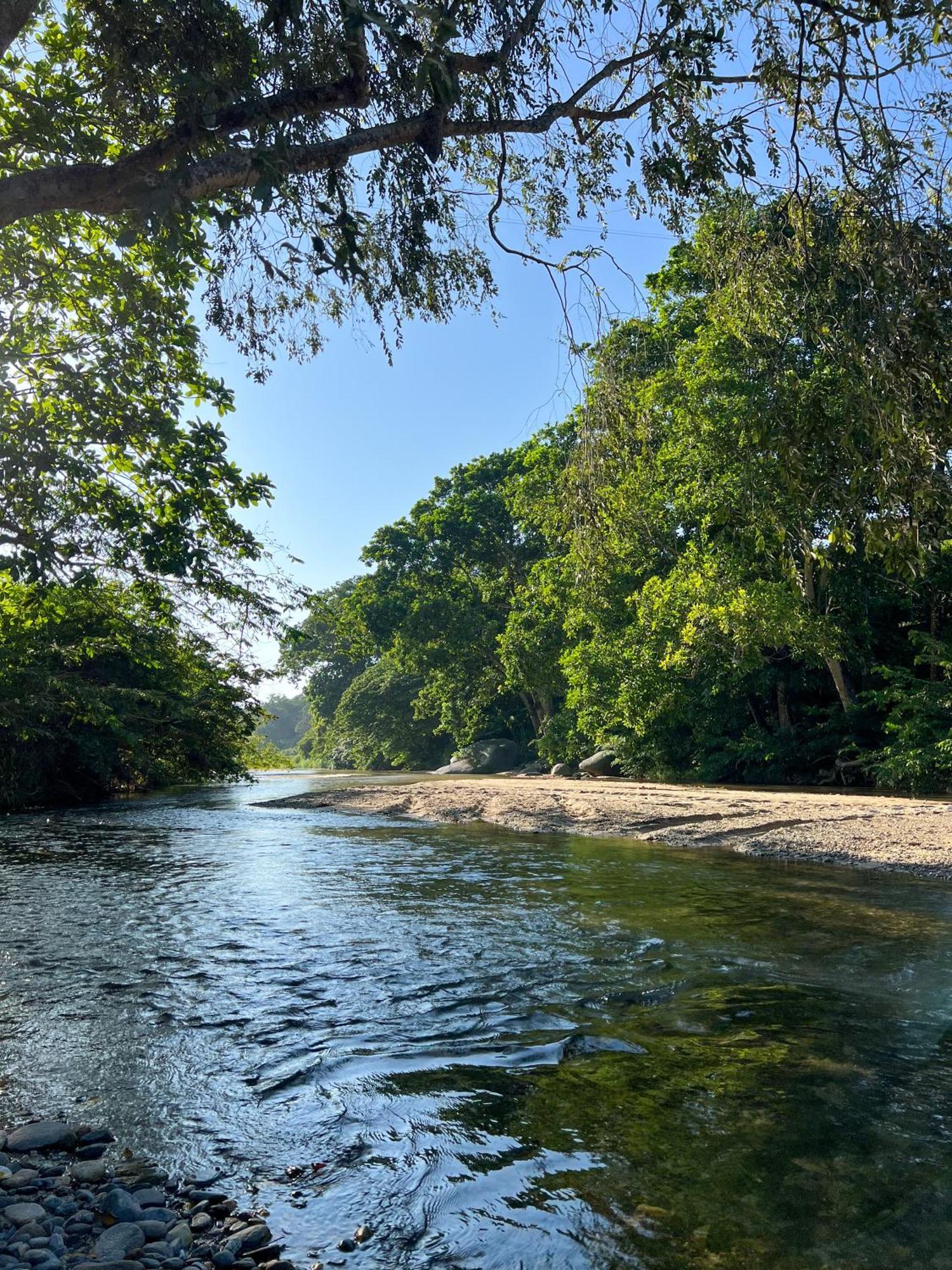 Tayrona Cachaco River Ecohostal El Zaino Extérieur photo